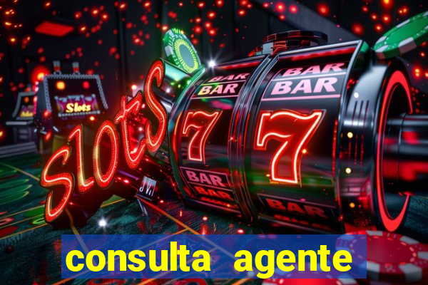 consulta agente autuador sp